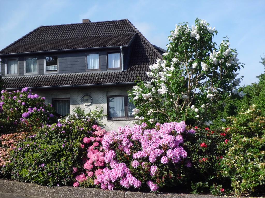 Haus Wiesel Bispingen Buitenkant foto